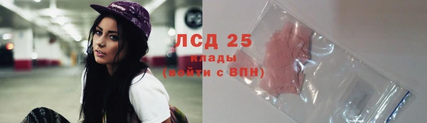 прущие грибы Саяногорск